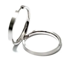 0517-01 Boccia Titanium Earrings