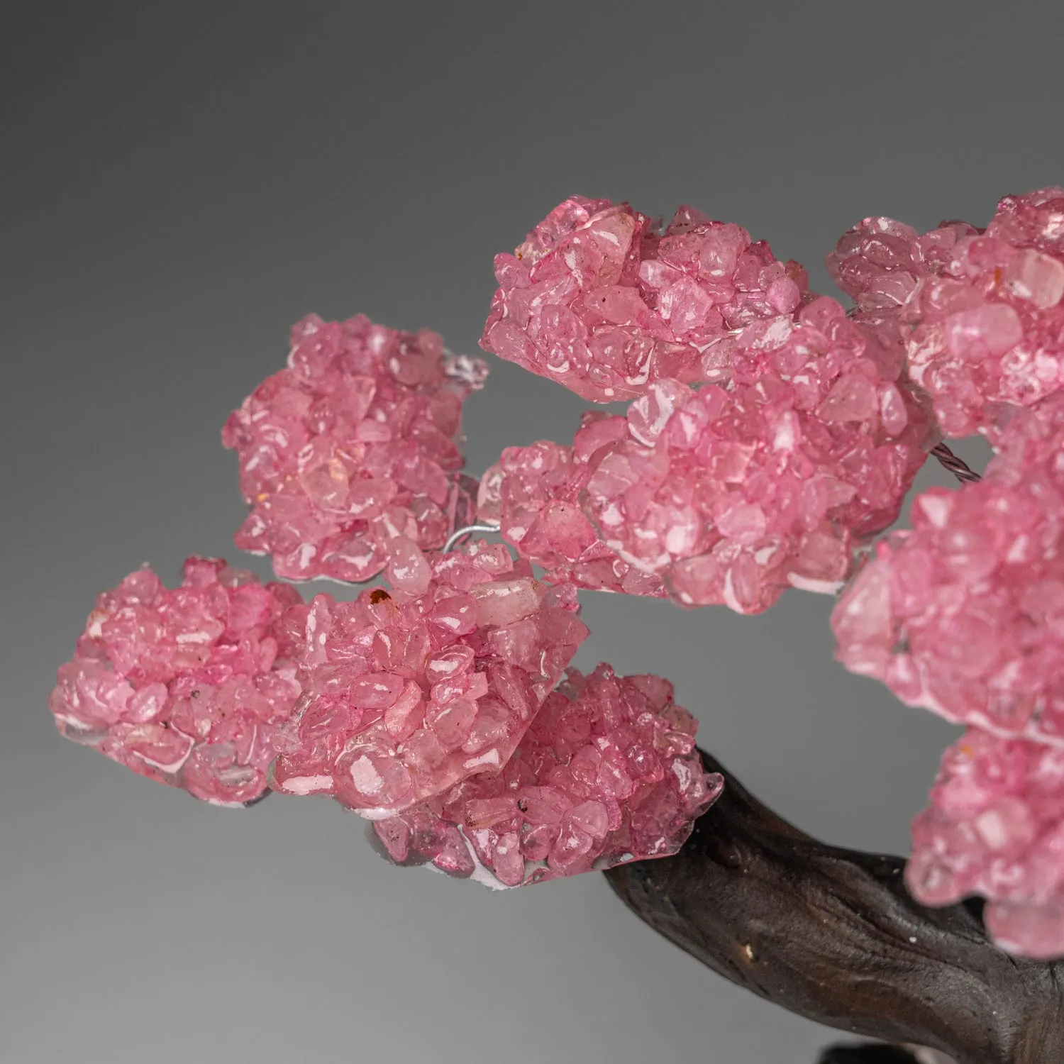 Custom - Genuine Rose Quartz Clustered Gemstone Tree on Rose Quartz Matrix (Unconditional Love Tree)