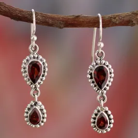 Halo of Beauty Teardrop Earrings
