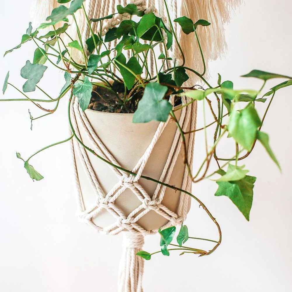 Handmade Angel Wings Macrame Plant Hanger