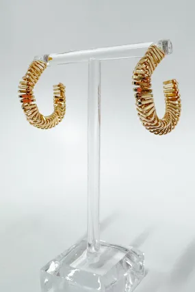 Immaculate Taste Twist Spiral Hoop Earrings