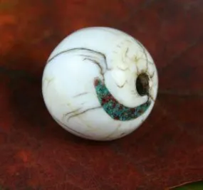 Naga Shell Bead