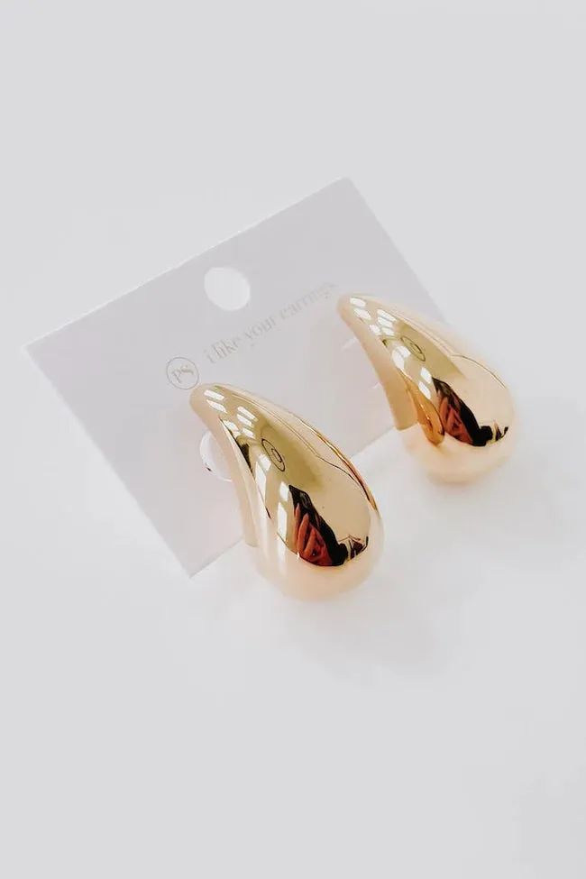 Not So Secret Admirer Waterproof Earrings