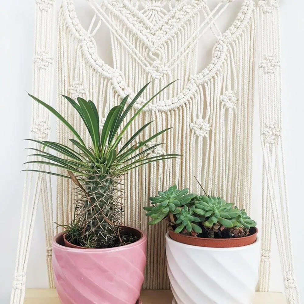 Wooden Floating Shelf Wall Hanging Macrame Planter